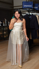 Load image into Gallery viewer, Overlay Skirt - Champagne Organza
